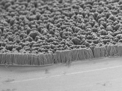 Heat-Conducting Polymer