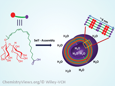 Giant Vesicles from Sophorolipids