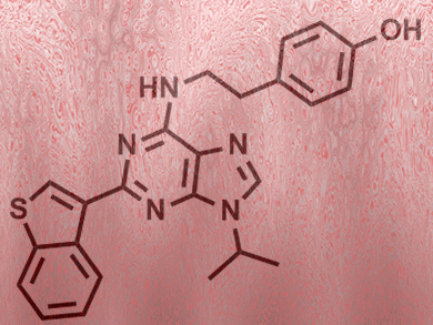 Catching Leukemic Stem Cells