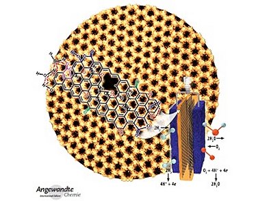 Angewandte Chemie 14/2014: Can You Do Without?