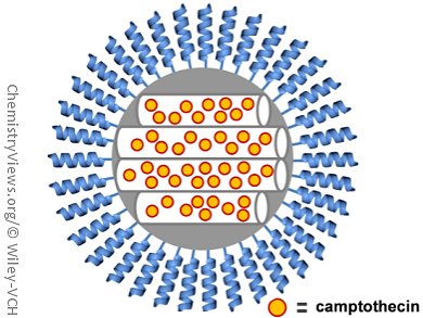 Enzyme-Controlled Drug Delivery