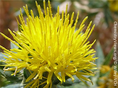 Mutants Make Safflower Oil More Stable