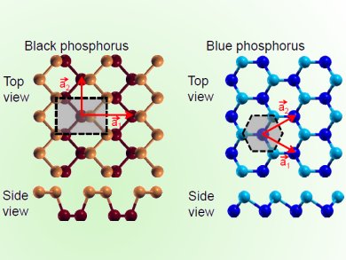 New Form of Phosphorus