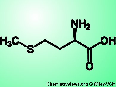 Methionine: Find the Right Balance