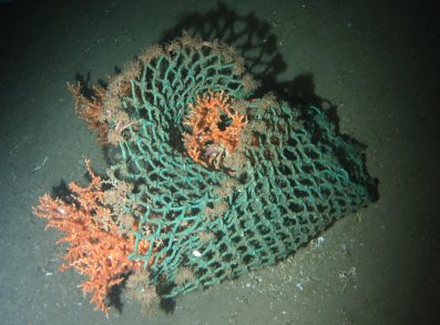 Plastic in Deep Seas