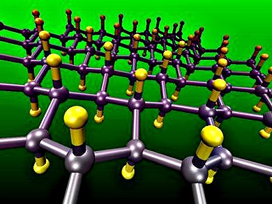 Towards the Sensing of Biomolecules: Fluorographites