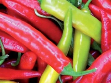 The Domesticated Species of Capsicum — Part of The Biochemistry of Peppers