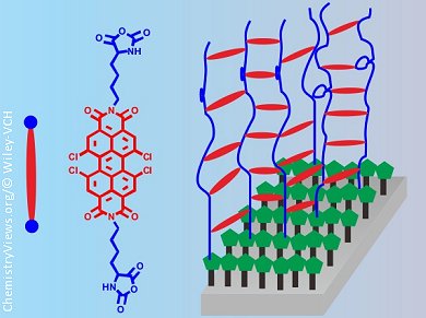 Surface-Grafted Semiconductor Layer