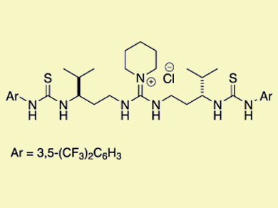 Flexible Catalytic Active Site