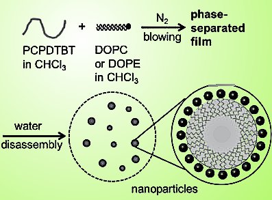 Nanoparticles of Conjugated Polymers