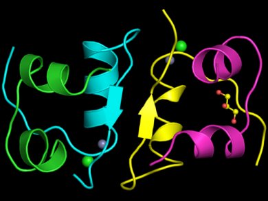 Dorothy Hodgkin – Pioneer of the Study of Biomolecules by XRay Crystallography