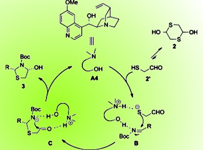 Swapping the Chiral Pool for Organocatalysis