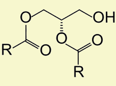 Lipase: Rather Fixed than Free