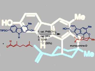 Boronic Acid Catalyzed Annulation of a Pyran Ring