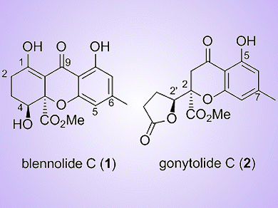 A Domino Approach to Total Synthesis