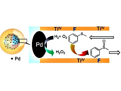 Hydrophobic Catalysts