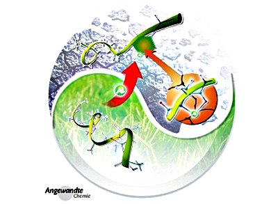 Angewandte Chemie 25/2014: Surfaces and What's Below
