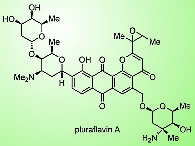 Pursuit of Total Synthesis: A Rocky Road of Discovery