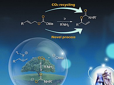 Recycling CO2 Under Iridium Catalysis