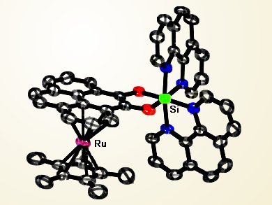 Si−Ru Complex Probes DNA Mismatches