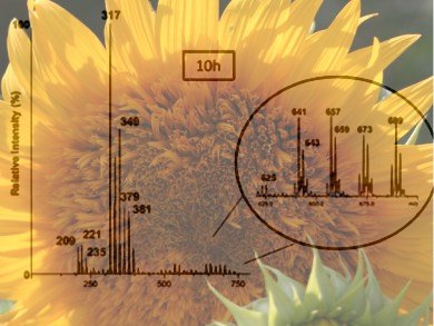 EASI(Y) Oxidation Screening in Biodiesel