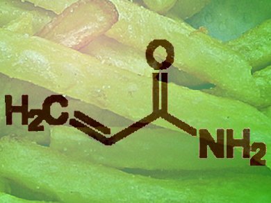 Acrylamide in Food