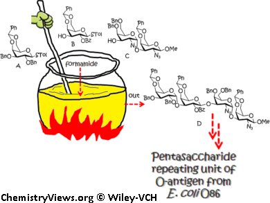 E. coli Antigen Built Step by Step