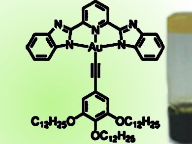 New Class of Gold-based Gelators