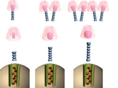 The Details Matter in Drug Delivery