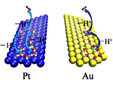 Oxidation of Formic Acid