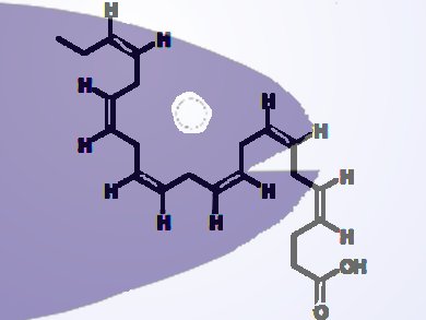 Fish Oil Against Alcohol-induced Brain Damage?