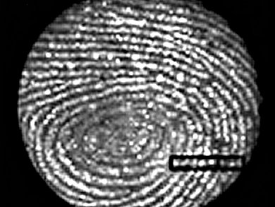 Porous Silicon Reveals Fingerprints