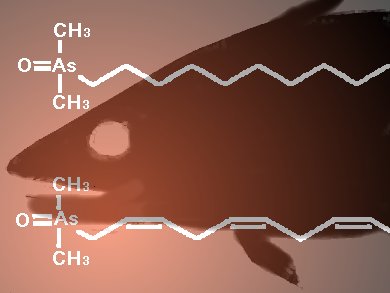 Contamination of Seafood with Arsenolipids