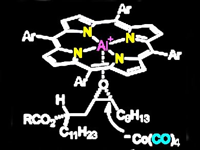 Total Synthesis of Tetrahydrolipstatin