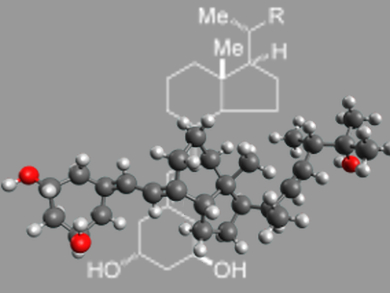 New Route to Paricalcitol