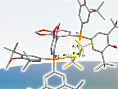 Going for Gold in Chiral Amine Synthesis