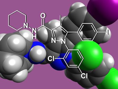 A New Way to Treat Hepatitis C