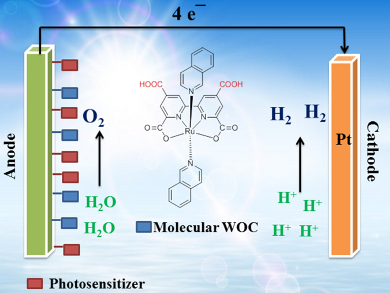 A Step Closer to Artificial Photosynthesis?