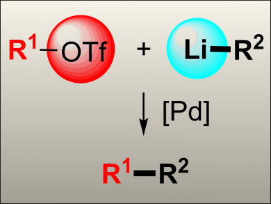 Direct Cross-Coupling of Organolithium Reagents