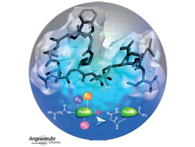 Angewandte Chemie 36/2014: Click to Synthesize