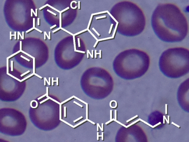 A New Kinase Inhibitor Halts Leukemia Development