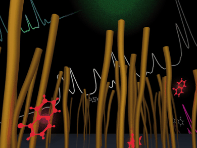 Gold Nanowire Forests as Sensors
