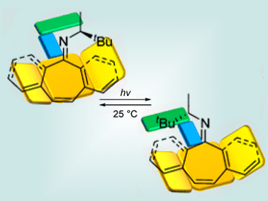 Imines as New Molecular Rotors