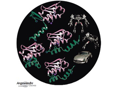 Angewandte Chemie 40/2014: Rich Chemistry