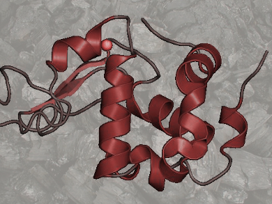 Low-Cost Protein Purification