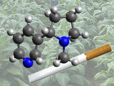 The Chemistry of Tobacco – Part 1