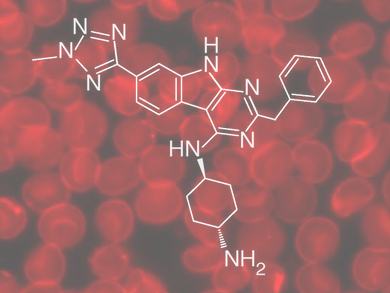 Making Blood with Pyrimidoindole Derivatives