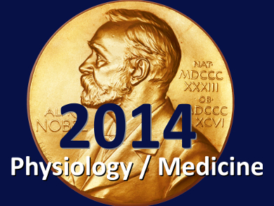 Nobel Prize in Physiology or Medicine 2014
