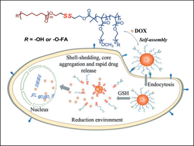 Targeted Drug Delivery with Micelles