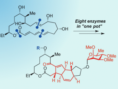 Chemoenzymatic Synthesis